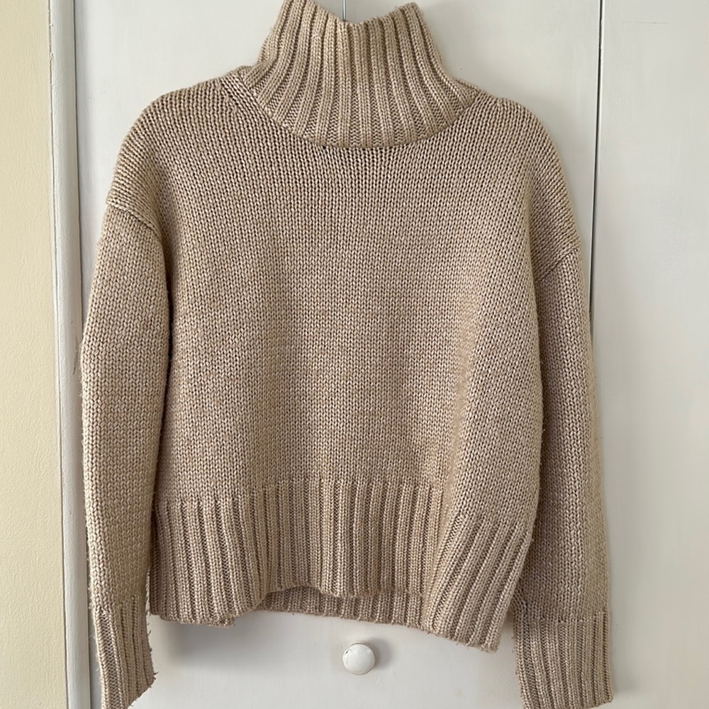 Ann Taylor soft cozy turtleneck